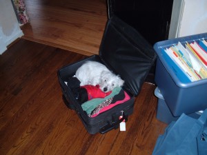 flurry-in-suitcase1 Sometimes we want to run away from God