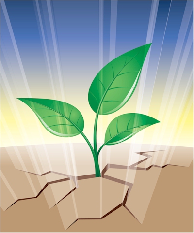 plant thru hard ground