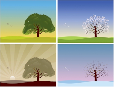 tree by the seasons