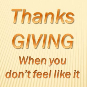 Give thanks - 11-20-14