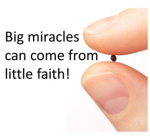 mustard seed faith - 5-3-16