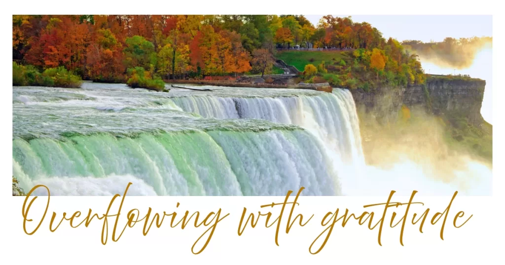 Overflowing with gratitude because of what Jesus did for us! - Colossians 2:7.